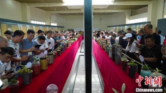 圖為活動(dòng)現(xiàn)場。 云南省委臺(tái)辦供圖