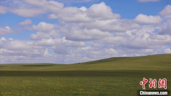 圖為點(diǎn)點(diǎn)新綠在原野上蓄勢(shì)待發(fā)。 歐戈 攝