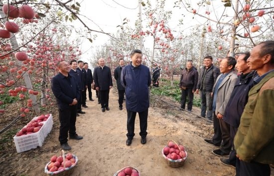 2022年10月26日，習(xí)近平總書記在陜西省延安市安塞區(qū)高橋鎮(zhèn)南溝村蘋果園同老鄉(xiāng)們親切交流。