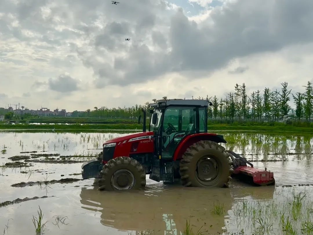浙江省金華市東陽市城東街道寀盧村的一臺無人駕駛耕地機。靜玄 攝