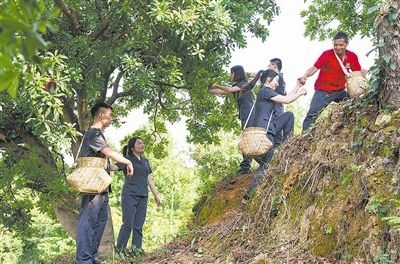 村民幫助志愿者爬上山坡。