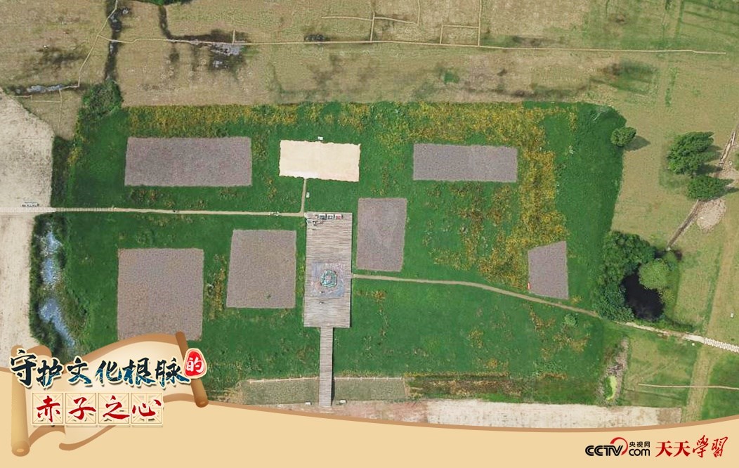 2019年6月23日無人機拍攝的良渚國家考古遺址公園的宮殿區(qū)。
