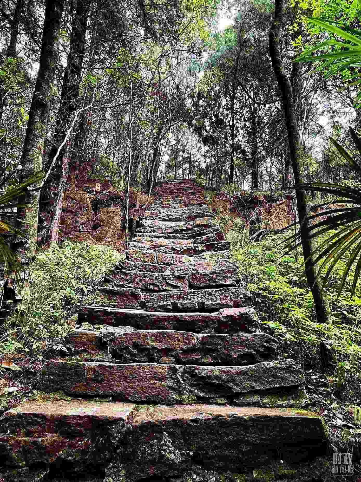 △古蜀道。（總臺(tái)央視記者郭曉龍拍攝）