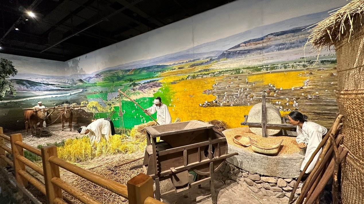 《朝鮮族民俗陳列》展廳。人民網(wǎng)記者 金洪花攝