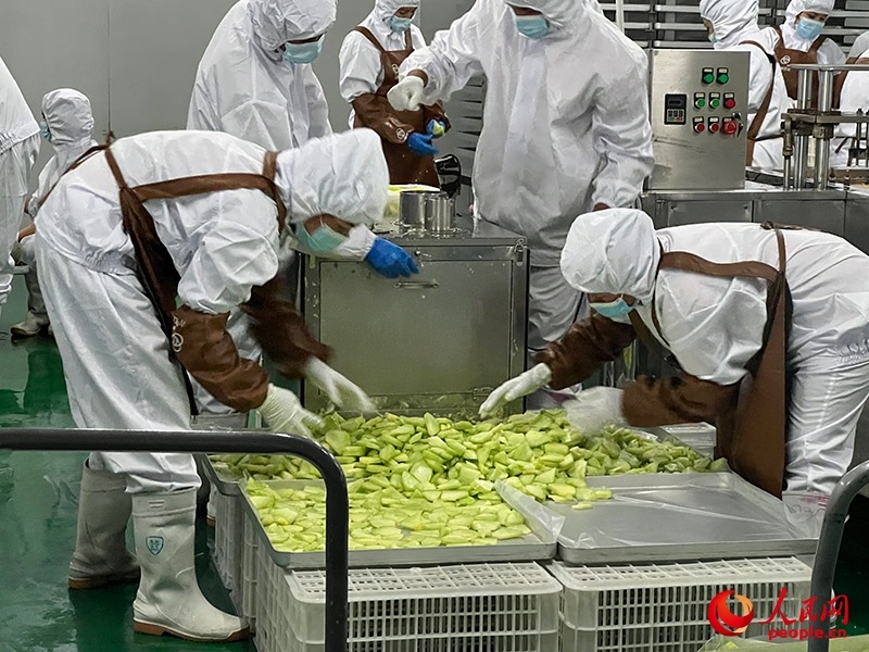 切片哈密瓜將被做成凍干食品。人民網(wǎng)記者 常雪梅攝