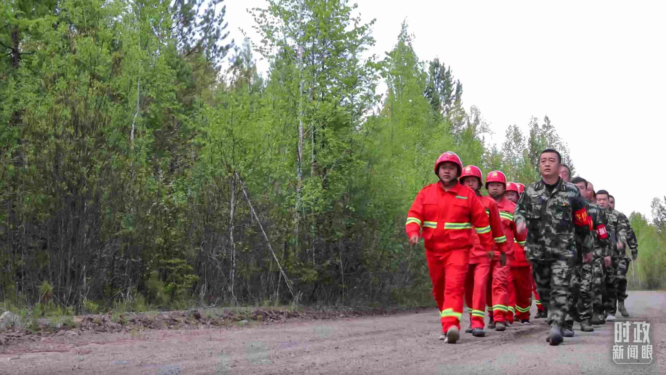 △林場里的森林巡護。