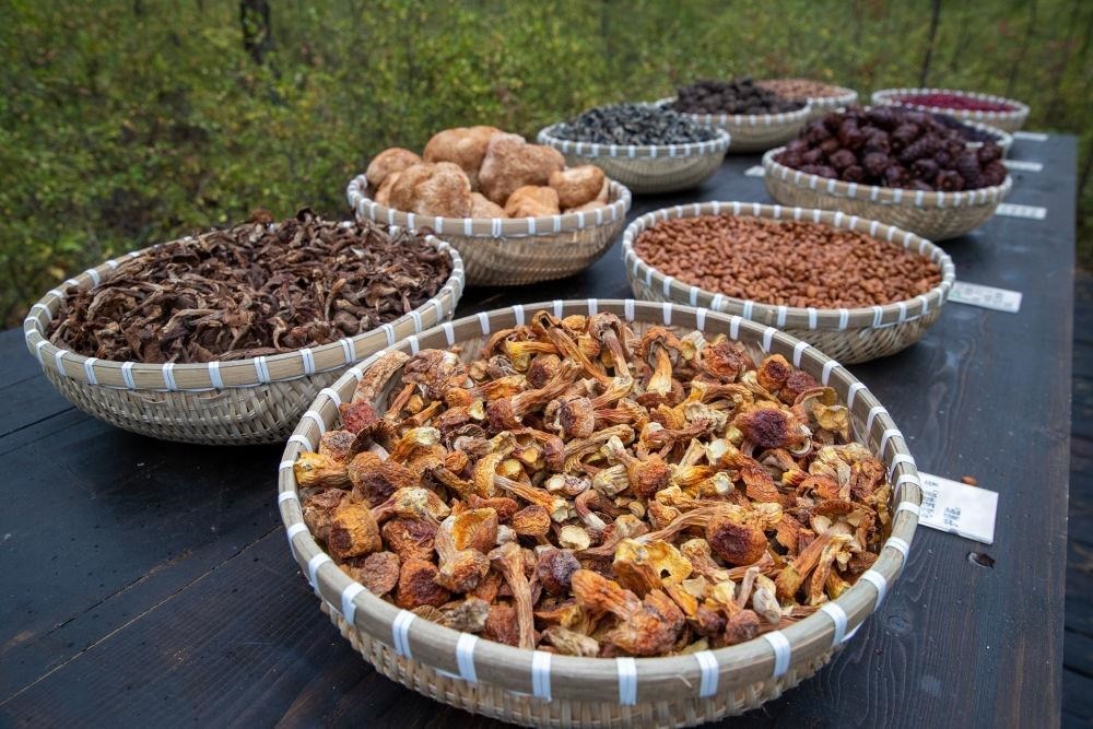 △近日，漠河市北極村一景區(qū)展示的林下產(chǎn)品。