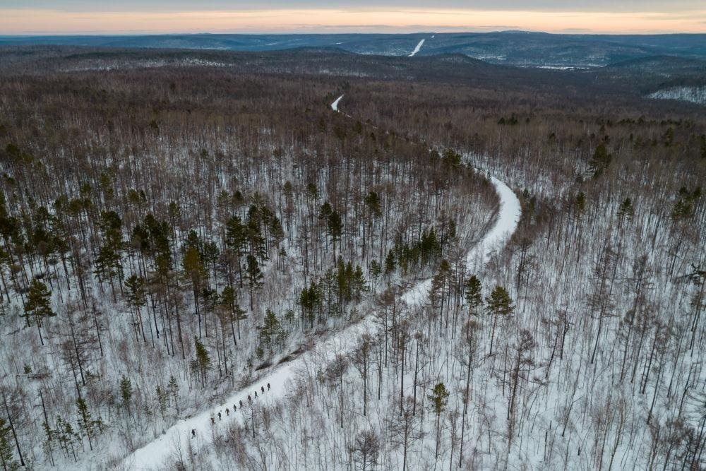 △2023年1月，漠河林場數(shù)十名職工自發(fā)組成的森林撫育隊伍，在人跡罕至的山林中作業(yè)。