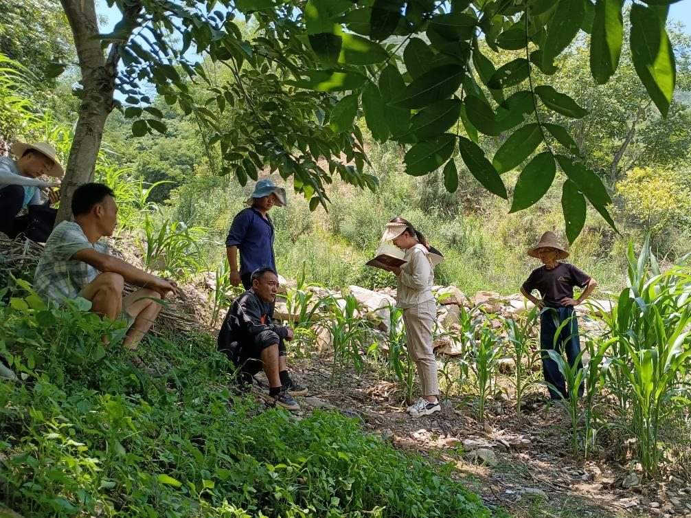 2023年7月18日，兩家村民發(fā)生土地方面的糾紛，李江女（右二）在記錄情況。受訪者供圖