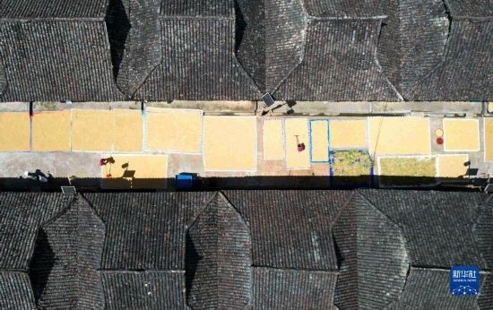 9月16日，在貴州省黔東南苗族侗族自治州從江縣加勉鄉(xiāng)污扣村，村民在晾曬稻谷（無人機(jī)照片）。