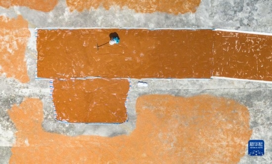 9月16日，農(nóng)民在貴州省安順市西秀區(qū)大西橋鎮(zhèn)吉昌村晾曬高粱（無人機(jī)照片）。