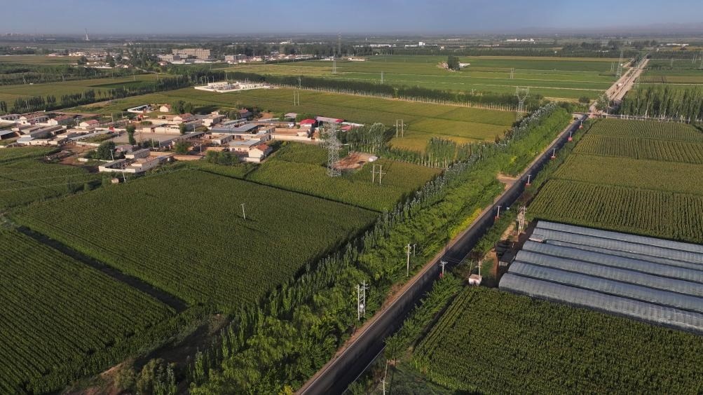 東興村周邊建起防護林網(wǎng)（無人機照片，2023年9月12日攝）。新華社記者李云平 攝