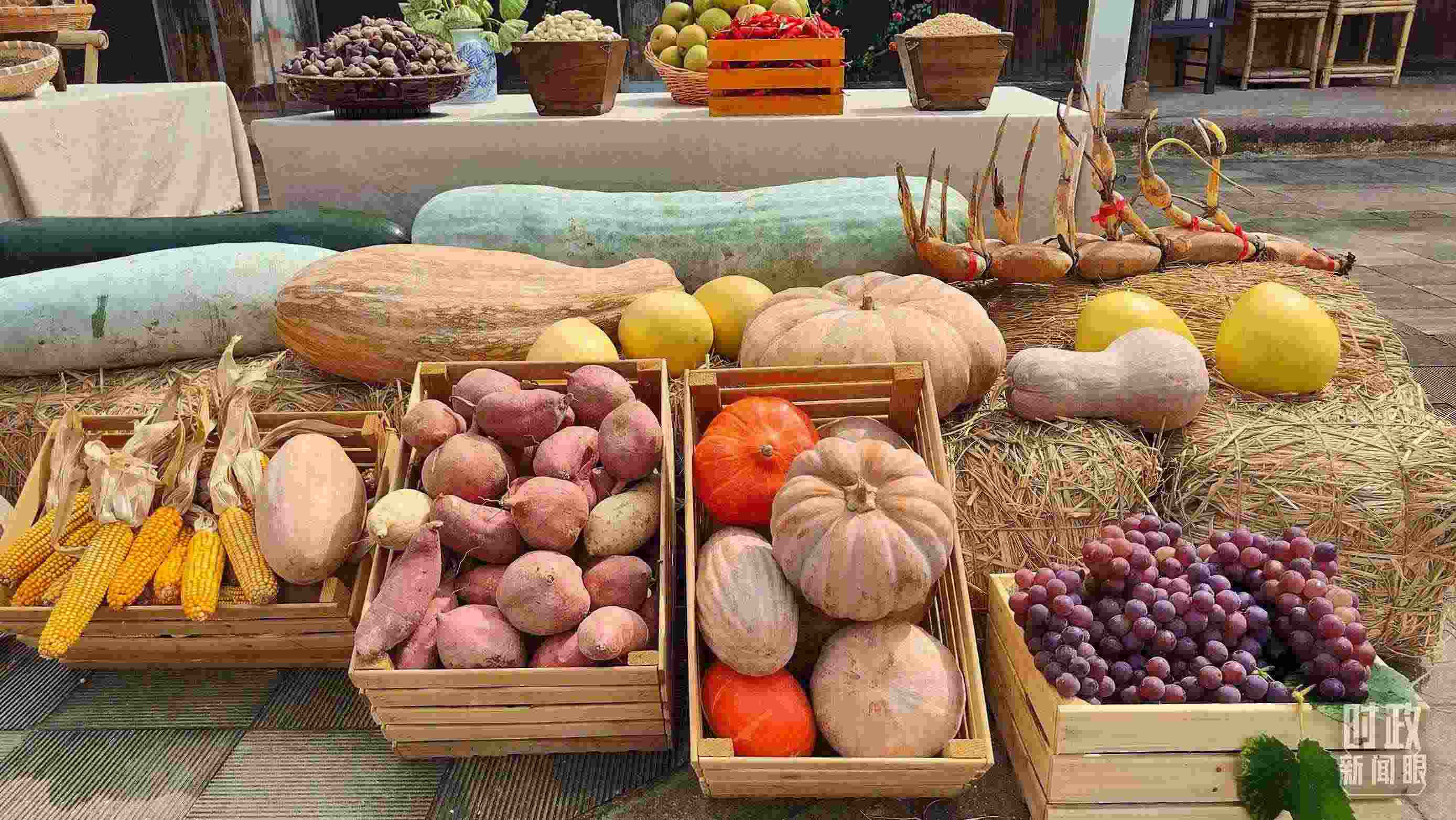 △村廣場“共富市集”，擺放著種類豐富的特色農(nóng)產(chǎn)品。（總臺(tái)央視記者楊立峰拍攝）