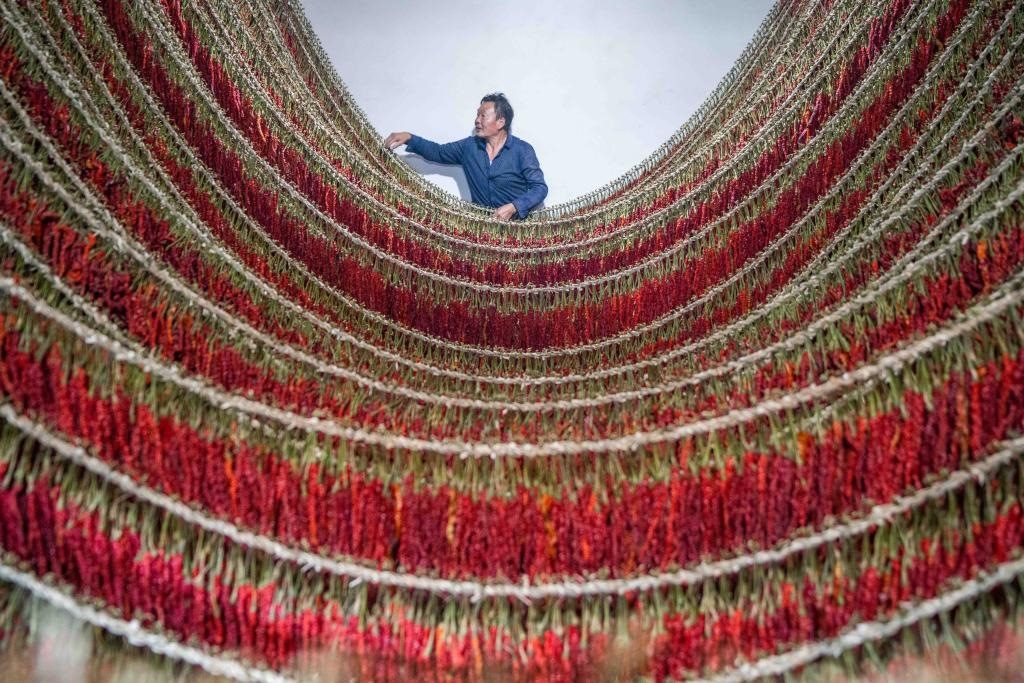 在貴州省畢節(jié)市大方縣理化鄉(xiāng)金雞村，村民查看辣椒烘干情況。新華社發(fā) 羅大富攝