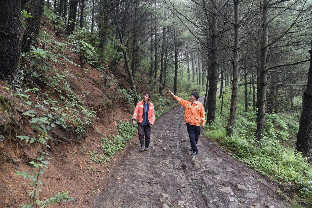 海雀村生態(tài)護(hù)林員馬正安（左）和海雀村林管員王光德（右）在日常巡山護(hù)林。新華社記者 李凡 攝