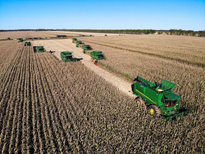 9月20日在位于黑龍江雙鴨山市友誼縣的北大荒農(nóng)業(yè)股份有限公司友誼分公司一地塊拍攝的秋收現(xiàn)場（無人機(jī)照片）。新華社記者 王松 攝