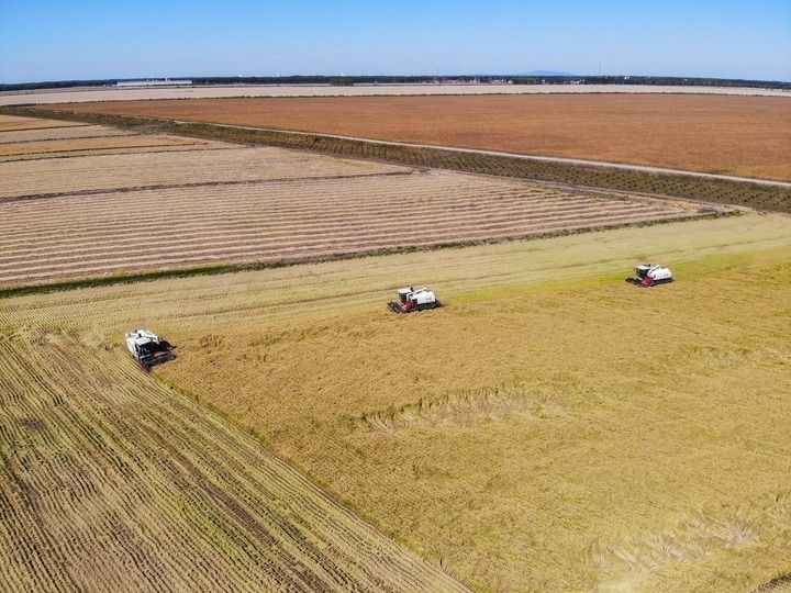 這是在位于黑龍江雙鴨山市友誼縣的北大荒農(nóng)業(yè)股份有限公司友誼分公司一地塊拍攝的水稻收獲現(xiàn)場（2023年9月21日攝，無人機照片）。新華社記者 王松 攝
