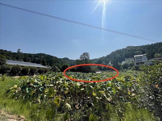 曾經(jīng)的圣水園所在地。 人民網(wǎng)記者 楊喬攝