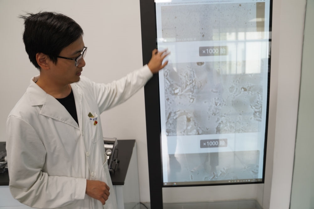 ↑ 工作人員展示瓷片標(biāo)本的配方研究數(shù)據(jù)（2023年5月16日攝）。