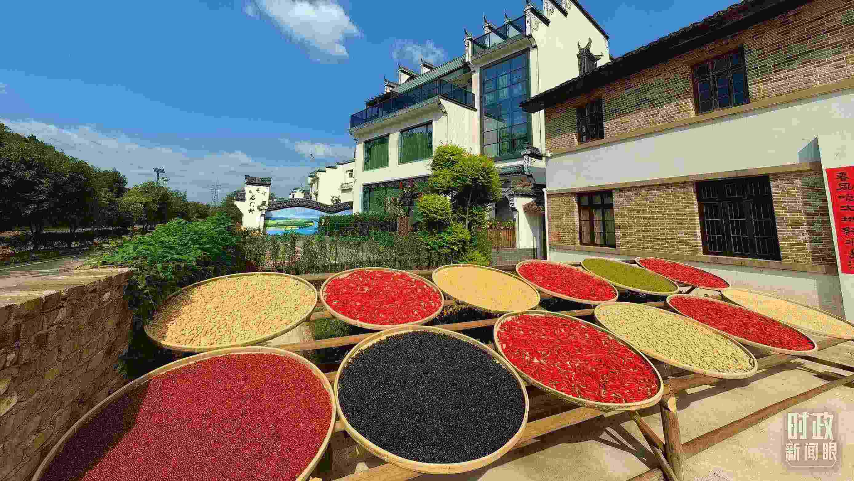 △曬秋農(nóng)俗成為婺源鄉(xiāng)村的一道美麗風(fēng)景。（總臺央視記者段德文拍攝）