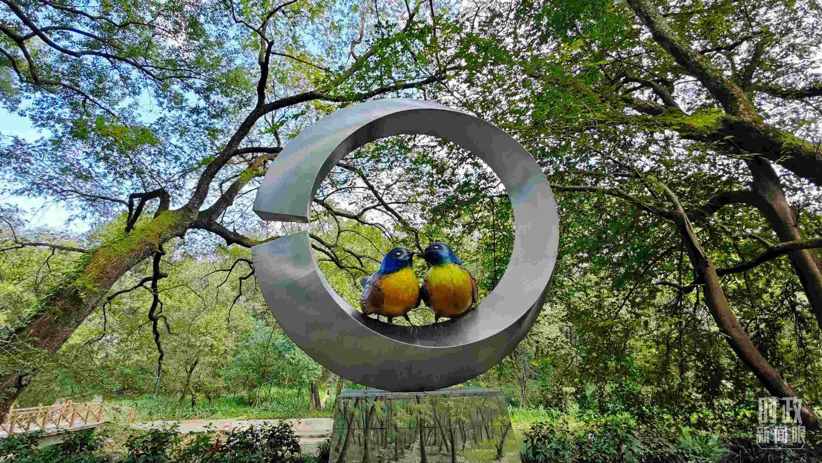 △石門村里的藍(lán)冠噪鹛雕像。（總臺央視記者許永松拍攝）