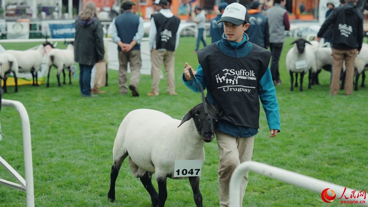 烏拉圭第118屆普拉多牧農業(yè)國際博覽會現場。人民網記者 張若涵攝