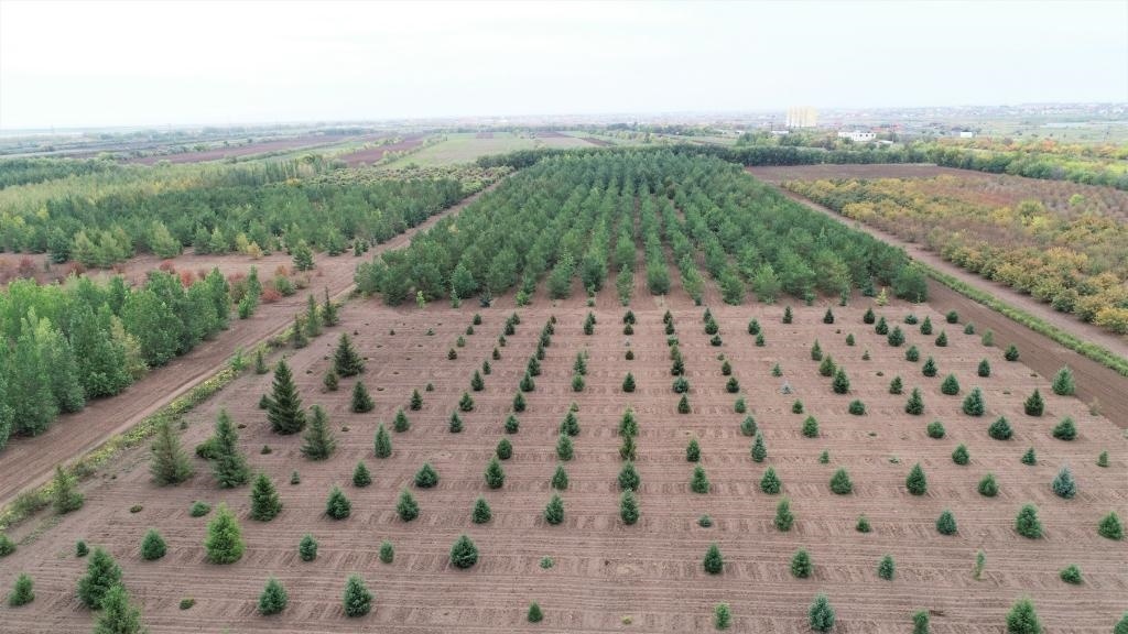 這是2023年9月11日在哈薩克斯坦首都阿斯塔納拍攝的一處植物種質(zhì)資源苗圃（無人機照片）。新華社發(fā)（法爾哈特·圖克諾夫 攝）