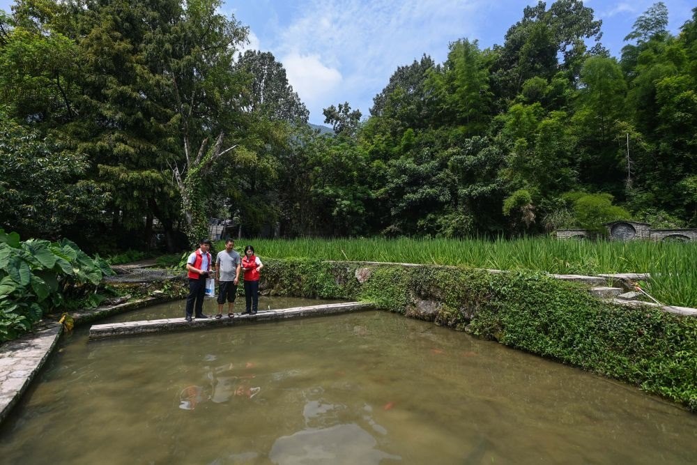 2023年8月17日，浙江省麗水市青田縣方山鄉(xiāng)田魚養(yǎng)殖戶吳勇強(qiáng)（中）在接受青田農(nóng)商銀行“小蜻蜓”服務(wù)隊(duì)志愿者提供的“惠民易貸”上門服務(wù)。近年來，青田縣金融發(fā)展中心聯(lián)合各個(gè)金融機(jī)構(gòu)優(yōu)化配套鄉(xiāng)村振興金融服務(wù)，推出“惠民易貸”“農(nóng)家樂貸”等金融產(chǎn)品，重點(diǎn)支持涉農(nóng)龍頭企業(yè)及特色種養(yǎng)殖產(chǎn)業(yè)。新華社記者 徐昱 攝