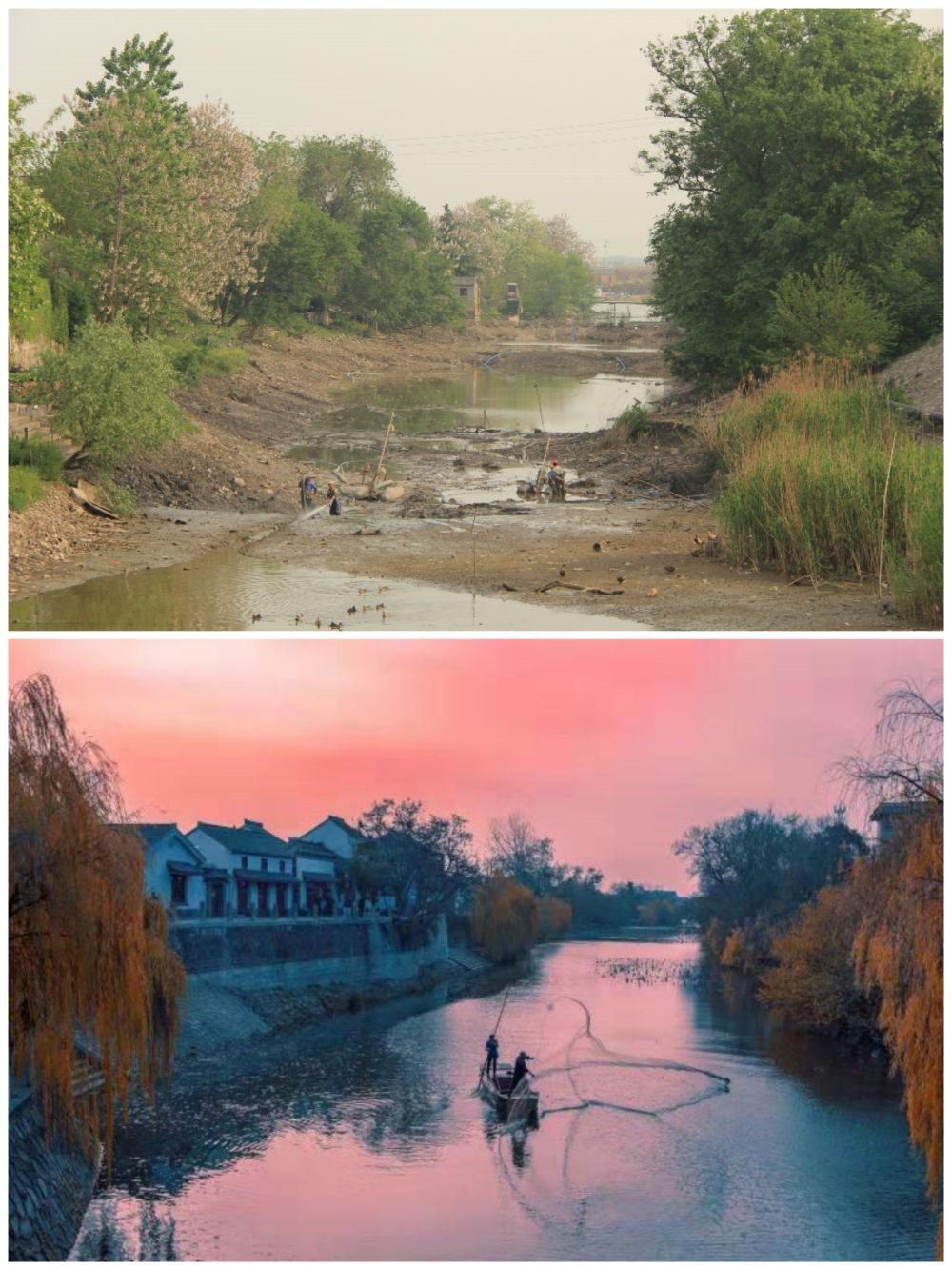 江蘇省揚州市江都區(qū)明清運河故道整治前后。（上圖：2012年；下圖：2020年）（孫友定 攝）