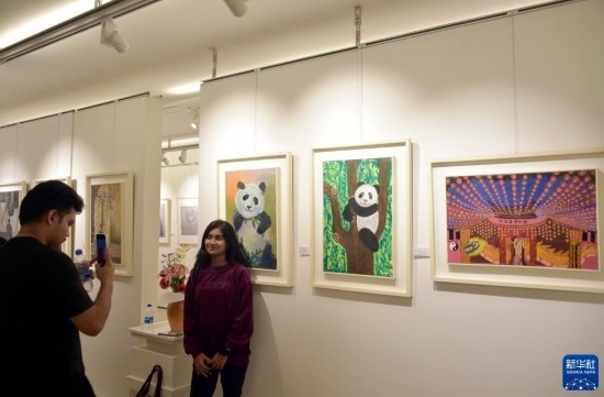 11月22日，在孟加拉國達(dá)卡，人們在“國家印象”繪畫展上參觀拍照。新華社發(fā)（薩利姆攝）