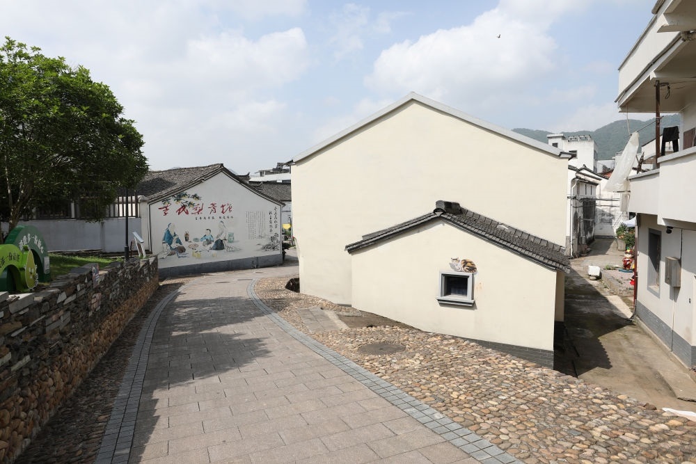 浙江省義烏市李祖村一景（2023年5月23日攝）。新華社記者 杜瀟逸 攝