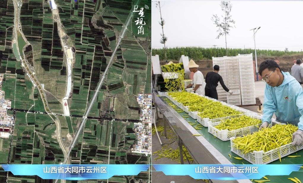 當(dāng)前，大同市開發(fā)黃花菜品、食品、飲品、功能食品、化妝品、文創(chuàng)產(chǎn)品六大系列130余種，全產(chǎn)業(yè)鏈產(chǎn)值超40億元。