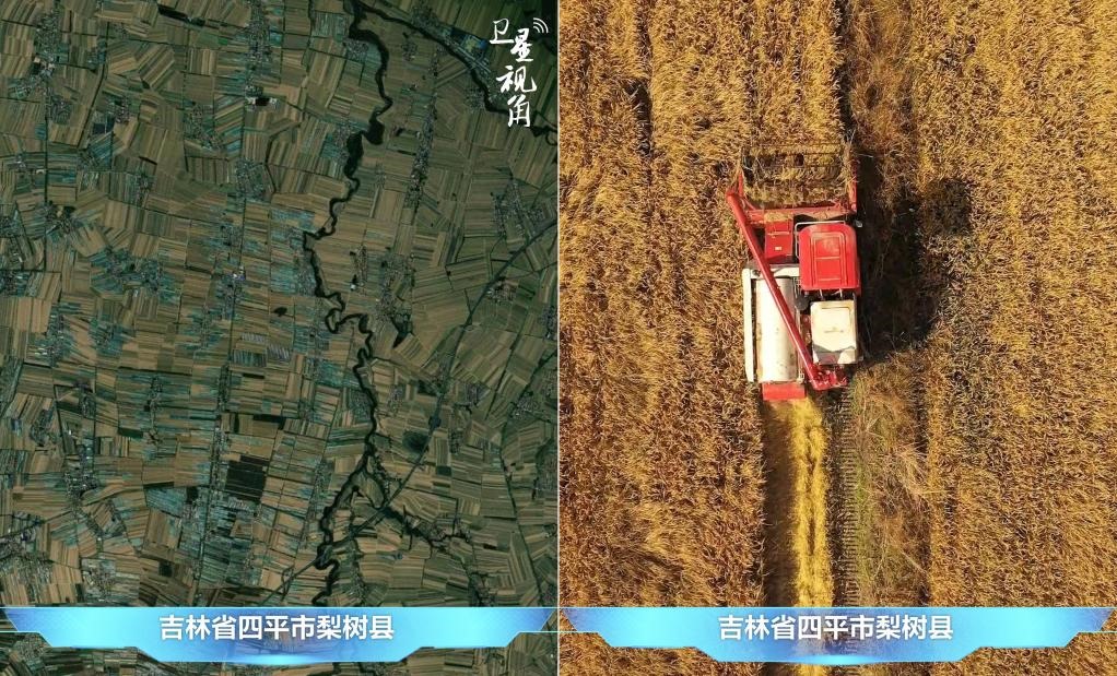 隨著現(xiàn)代化農(nóng)機普及應(yīng)用，保護(hù)性耕作“梨樹模式”得以大面積推廣，不僅使黑土地保護(hù)與利用持續(xù)深入，更為糧食作物高產(chǎn)穩(wěn)產(chǎn)助力。