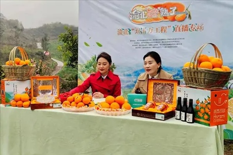 2021年2月26日，在重慶渝北區(qū)大盛鎮(zhèn)青龍村舉辦的直播活動(dòng)現(xiàn)場(chǎng)。