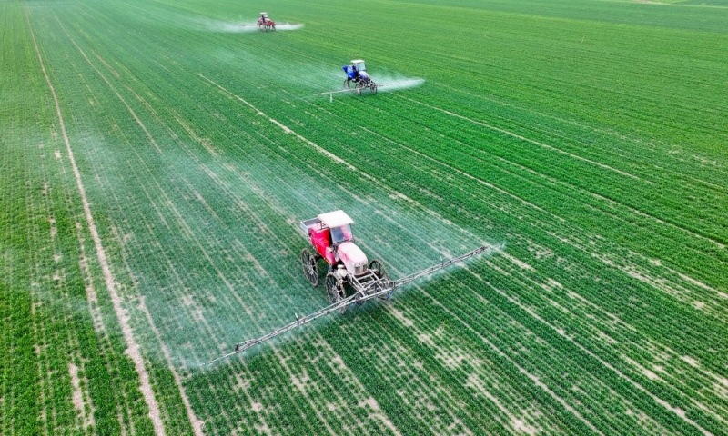 2024年2月18日，安徽省亳州市，利辛縣紀王場鄉(xiāng)孫老家村麥田，農(nóng)民駕駛自走式高桿噴霧機對小麥進行噴藥作業(yè)。