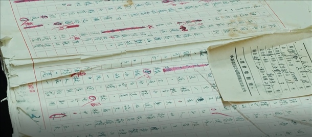 曲波《林海雪原》手稿。主辦方供圖