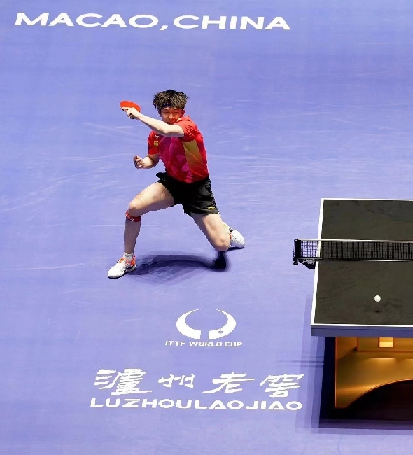 王楚欽在比賽中。賽事方供圖