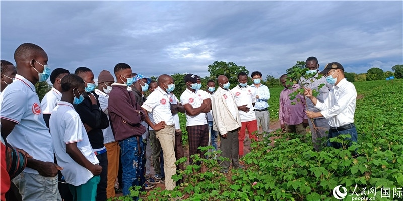 項目組長首小勇向當(dāng)?shù)孛揶r(nóng)做技術(shù)講解。人民網(wǎng)記者 黃培昭攝