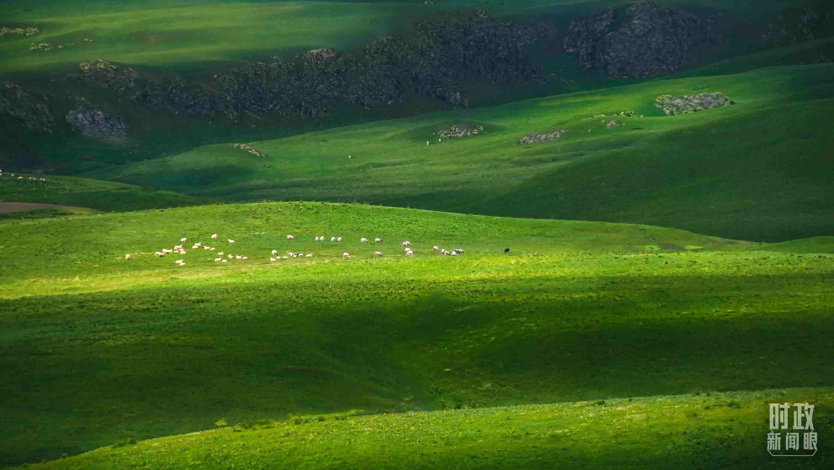 △祁連山草原光影。（圖/視覺(jué)中國(guó)）