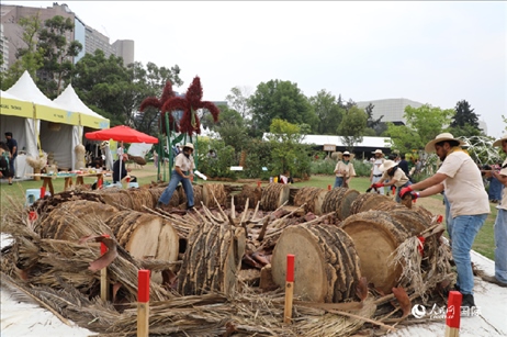 坎波·馬特活動現(xiàn)場。埃內(nèi)斯托·多明戈斯攝