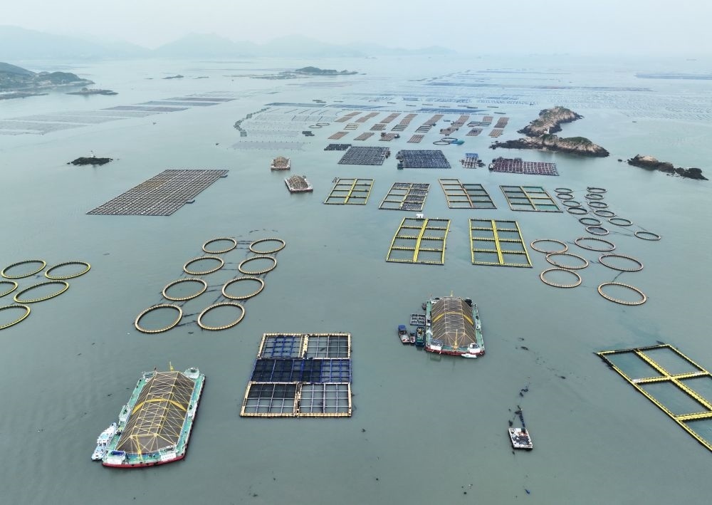 在福建連江定海灣海域，坐落著“定海灣1號(hào)”“定海灣2號(hào)”等深遠(yuǎn)海養(yǎng)殖平臺(tái)（2024年5月7日攝，無(wú)人機(jī)照片）。新華社記者 林善傳 攝