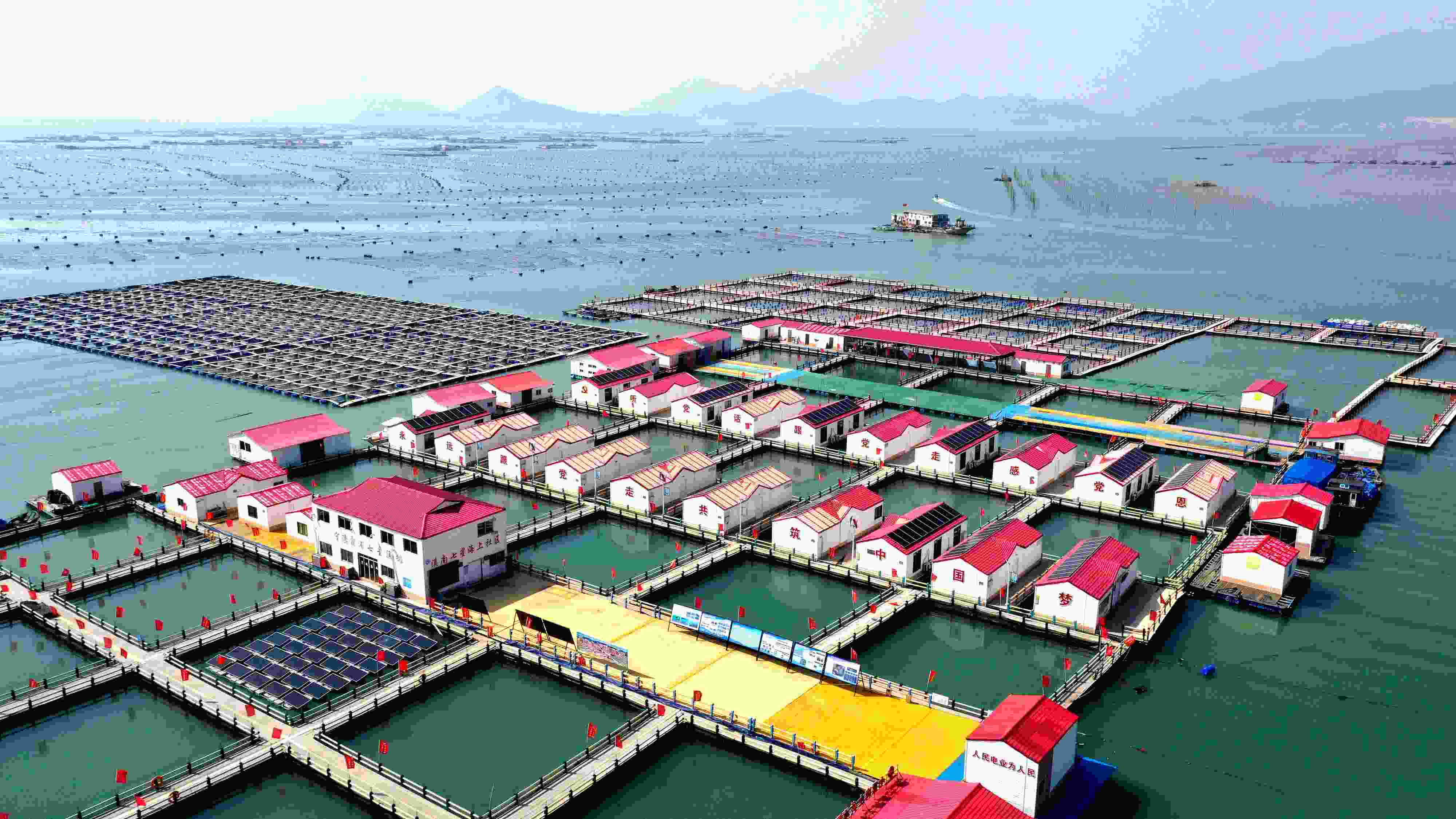 2024年3月20日，福建省寧德市，霞浦縣溪南鎮(zhèn)七星村漁排養(yǎng)殖示范區(qū)，漁民駕駛養(yǎng)殖船進(jìn)行海參養(yǎng)殖作業(yè)。