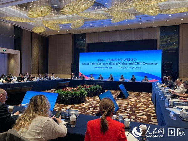 圓桌會現(xiàn)場。人民網(wǎng)記者 周輖攝