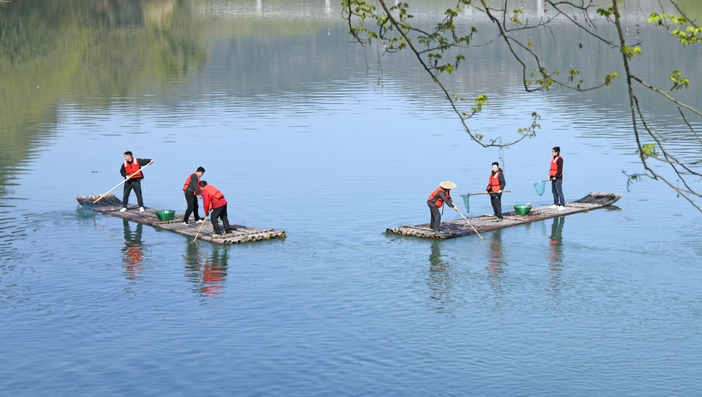 浙江省臺州市仙居縣步路鄉(xiāng)黨員志愿者與河長一起在永安溪巡河護(hù)水，清理雜物垃圾（2024年3月20日攝）。新華社發(fā)（王華斌攝）