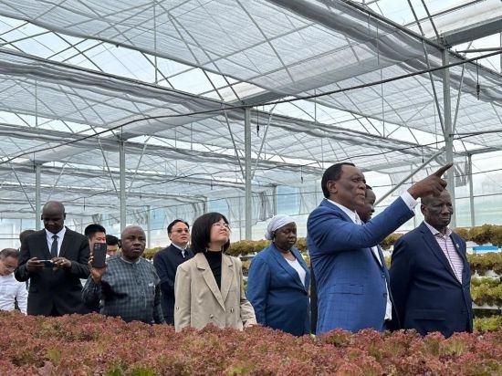 使節(jié)團(tuán)考察貴州省清鎮(zhèn)駱家橋蔬菜保供基地的無(wú)土栽培溫室。新華社記者 袁睿 攝