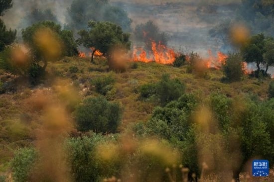 6月12日，以色列北部加利利地區(qū)遭受火箭彈襲擊后冒出滾滾濃煙。新華社發(fā)（阿亞爾·馬戈林?jǐn)z/基尼圖片社）