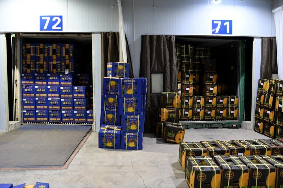 2023年9月12日在廣西憑祥友誼關(guān)口岸拍攝的等待通關(guān)的進口榴蓮。新華社記者 曹祎銘 攝