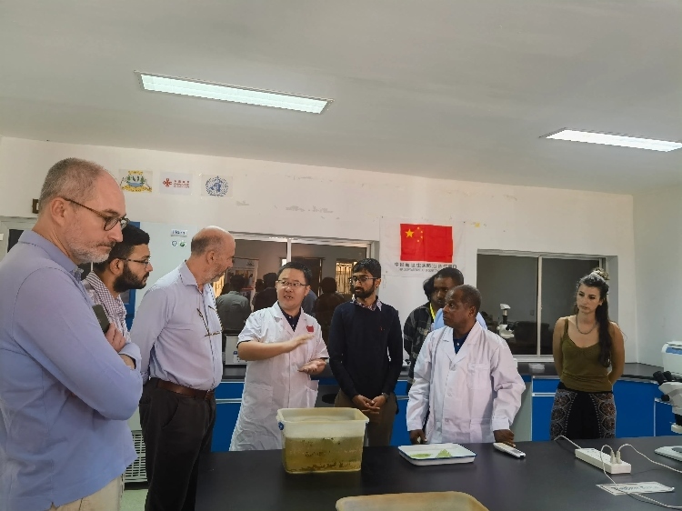 活動現(xiàn)場。專家組供圖