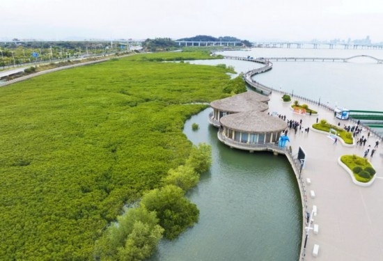 2024年1月23日拍攝的廈門市翔安區(qū)下潭尾紅樹林公園（無人機照片）。新華社記者 林善傳 攝