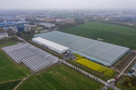 2024年3月28日，空中俯瞰嘉興南湖區(qū)湘家蕩農(nóng)業(yè)數(shù)字化工廠（無人機照片）。該農(nóng)業(yè)數(shù)字化工廠占地總面積約62畝，包含智慧農(nóng)業(yè)生產(chǎn)、物聯(lián)網(wǎng)智能管理、自動分揀包裝、保鮮儲藏物流、高科技示范展示等五大功能區(qū)，可直接或間接培養(yǎng)帶動新型職業(yè)技術(shù)農(nóng)民500人以上。新華社記者 徐昱 攝